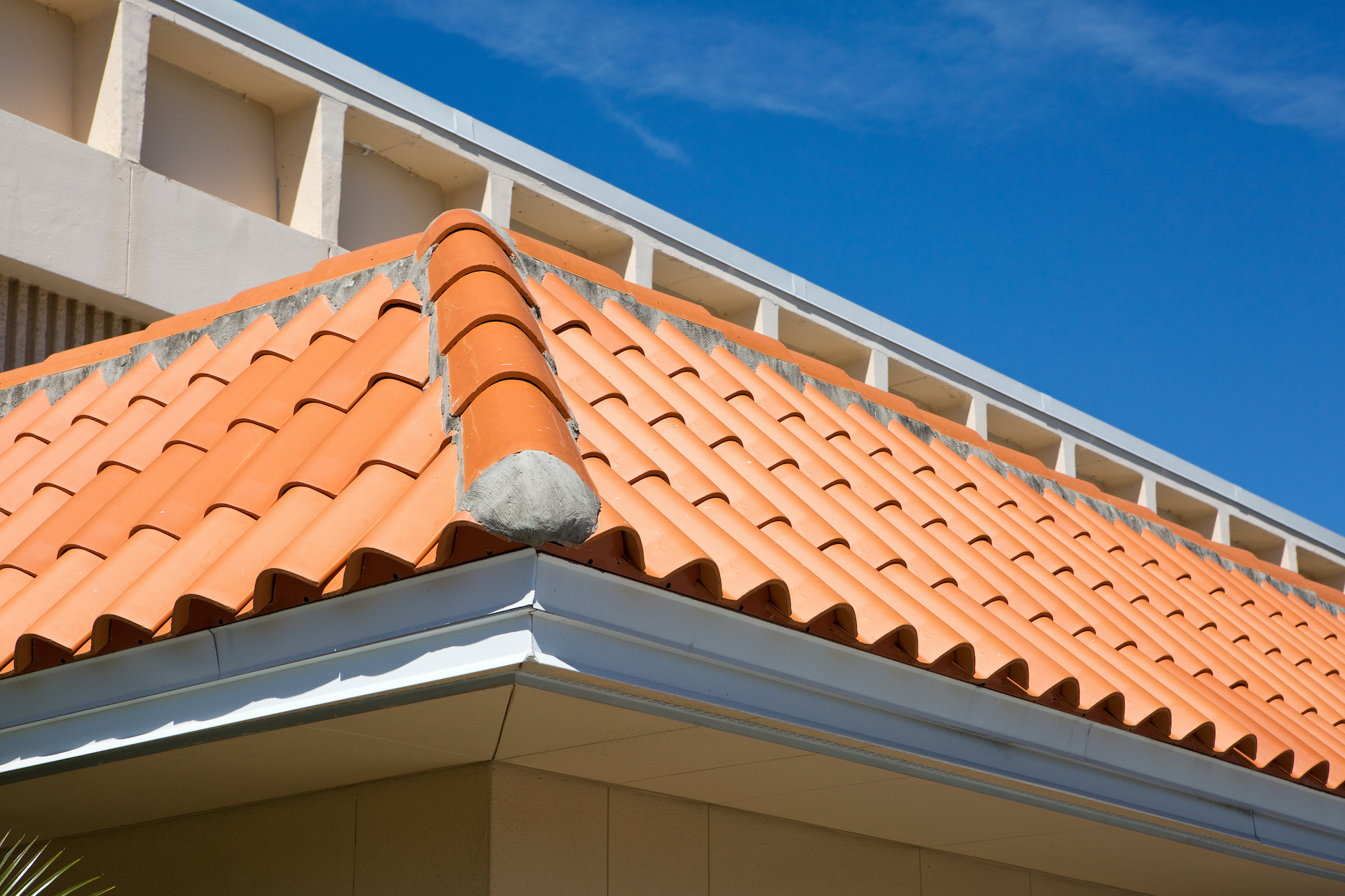 Roof cleaning