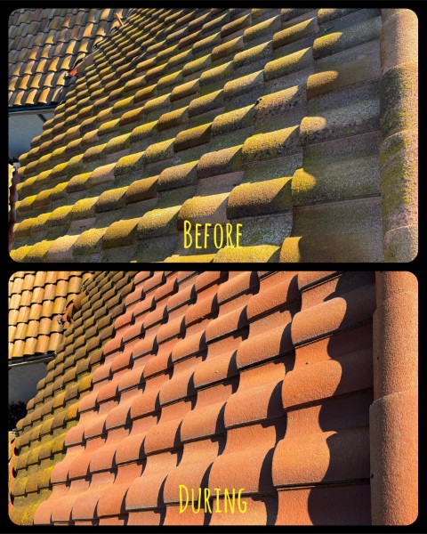 Concrete Tile Roof Cleaning in Escondido, CA