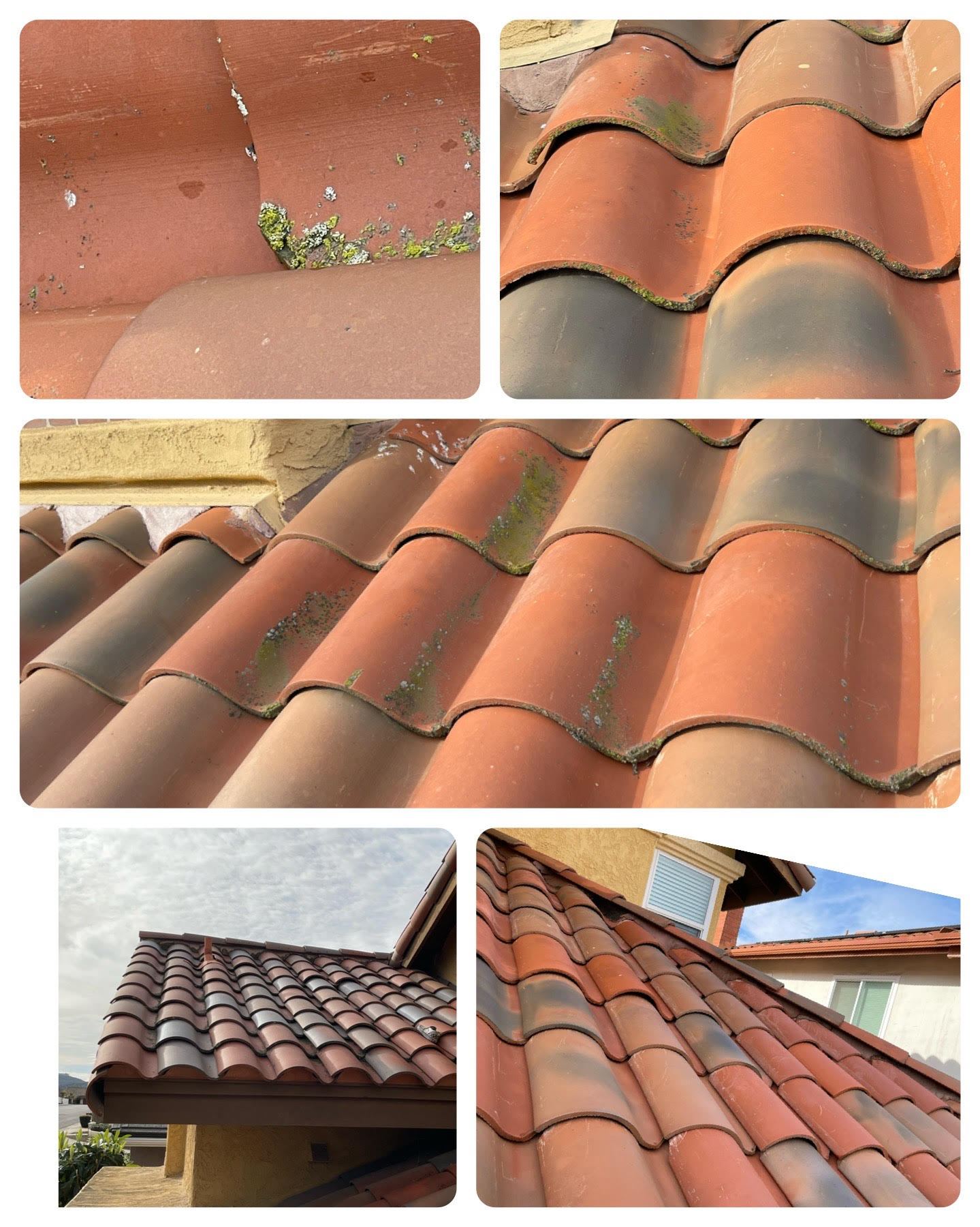 clay tile roof washing